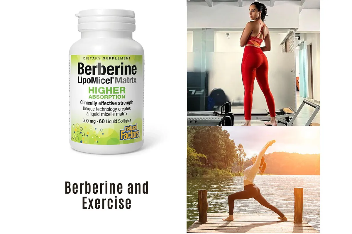 Berberine and Exercise